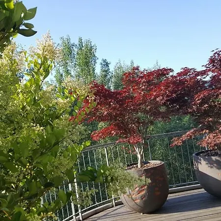 Vista San Luca Con Terrazza Panoramica * בולוניה