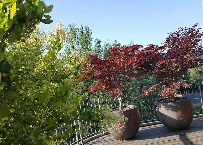 Vista San Luca Con Terrazza Panoramica * בולוניה